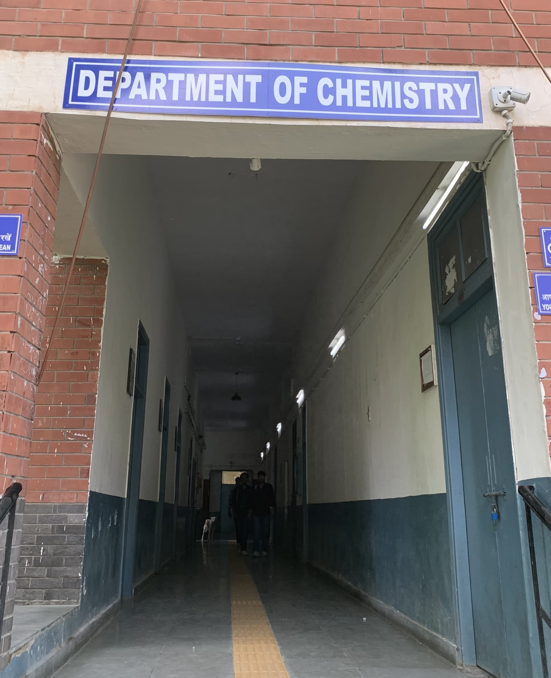 Ramjas College Campus photo 11